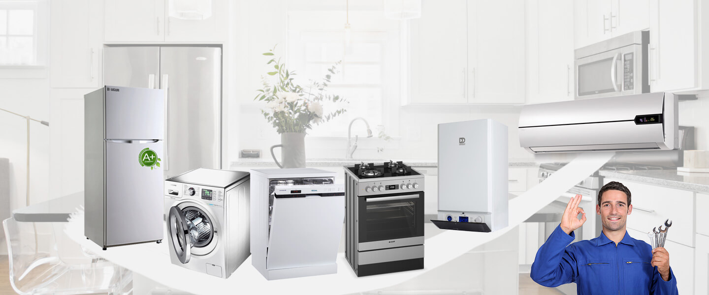 Hasköy Electrolux Servisi
